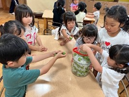 給食だより7月