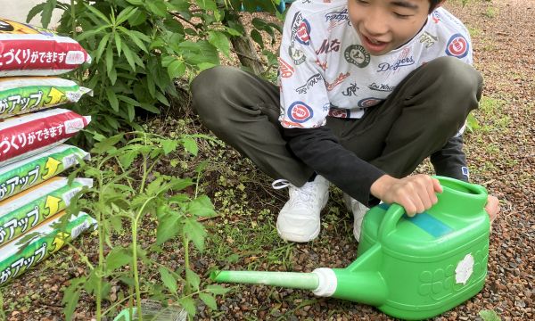 立派に育ちますように・・