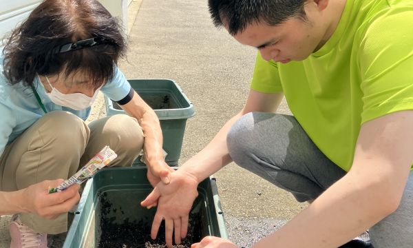 プランター栽培始めました！