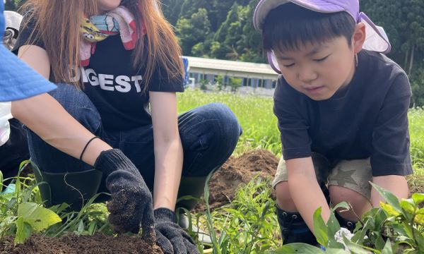5歳児　じゃが芋堀り