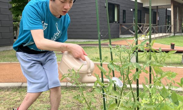 トマトや小玉スイカを育てています。