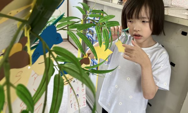 七夕に願いを込めて☆彡