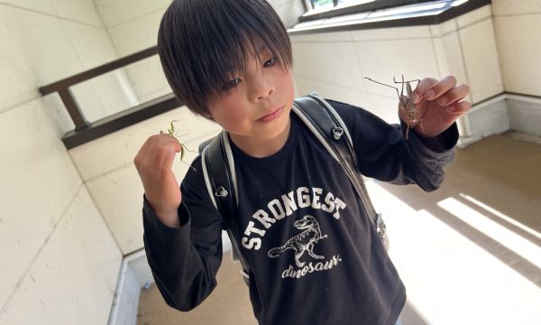 次はクワガタを捕まえるぞ！！