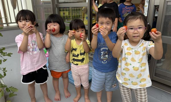 給食だより8月