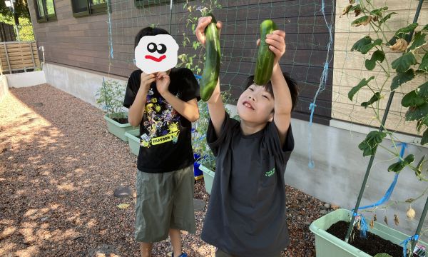 どんどん収穫してるよ～！🥒🍅