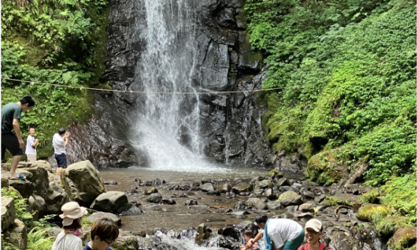 夏を満喫してきました