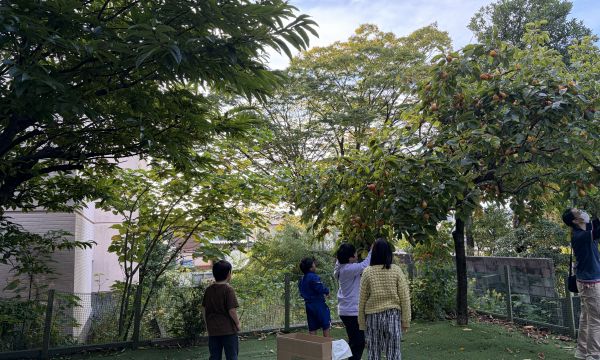 今年は豊作です🌳