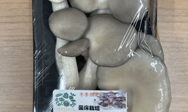 いちからファーム×あすわの木