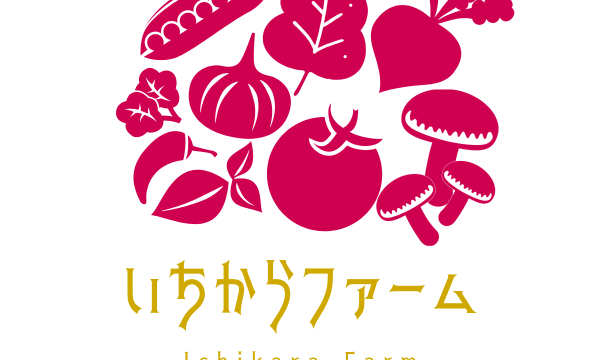 特集して頂きました✨