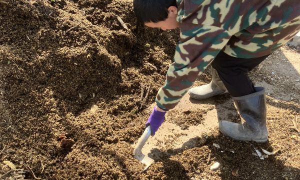 一生懸命頑張っています☆