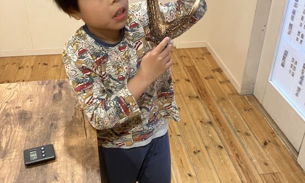 鹿の角はっけん！！！🦌
