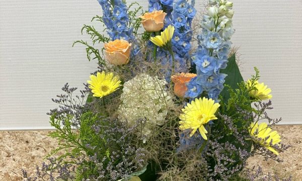 季節を感じるイベント　～６月～