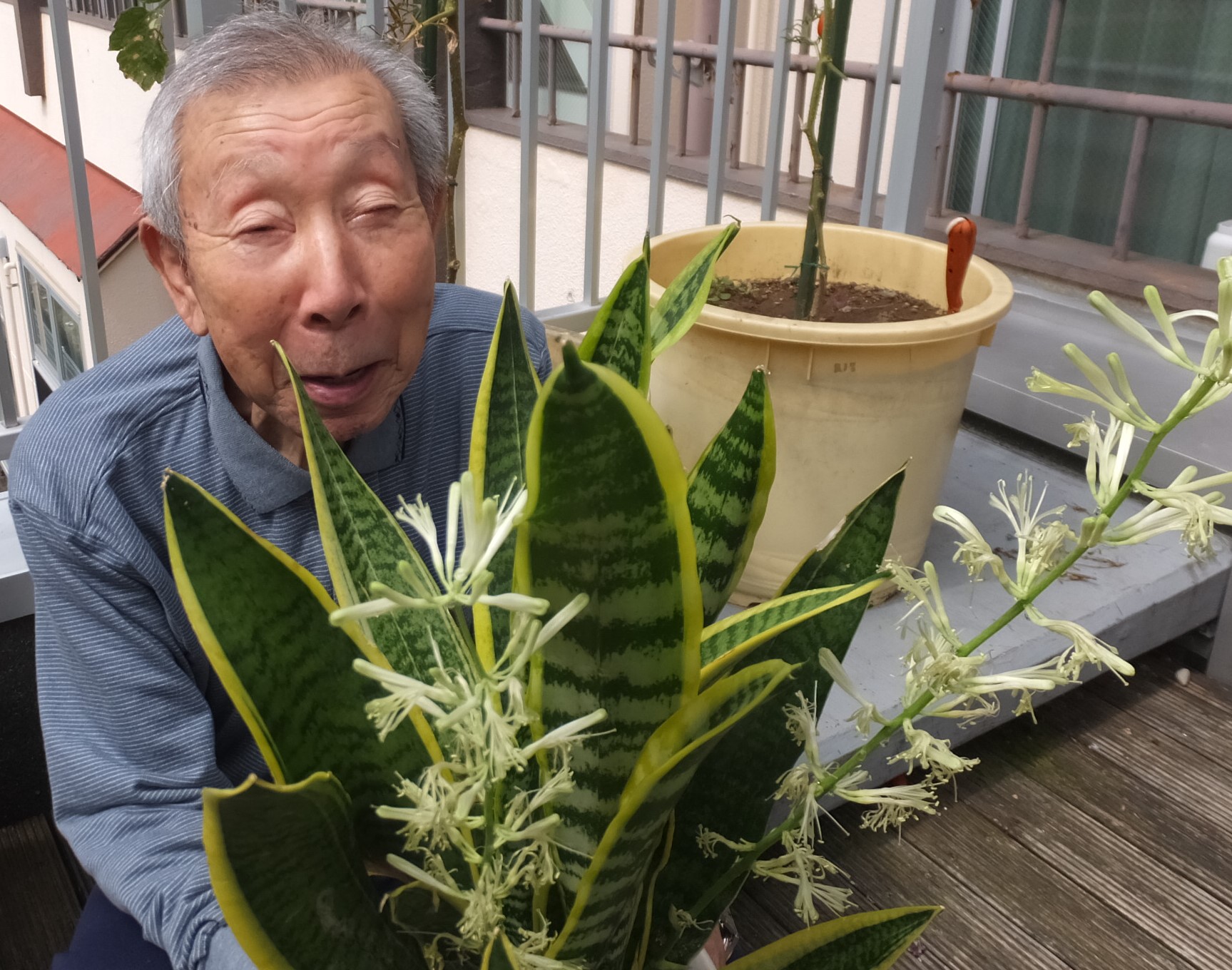 花が咲きましたっ 愛全園 足羽福祉会施設だより