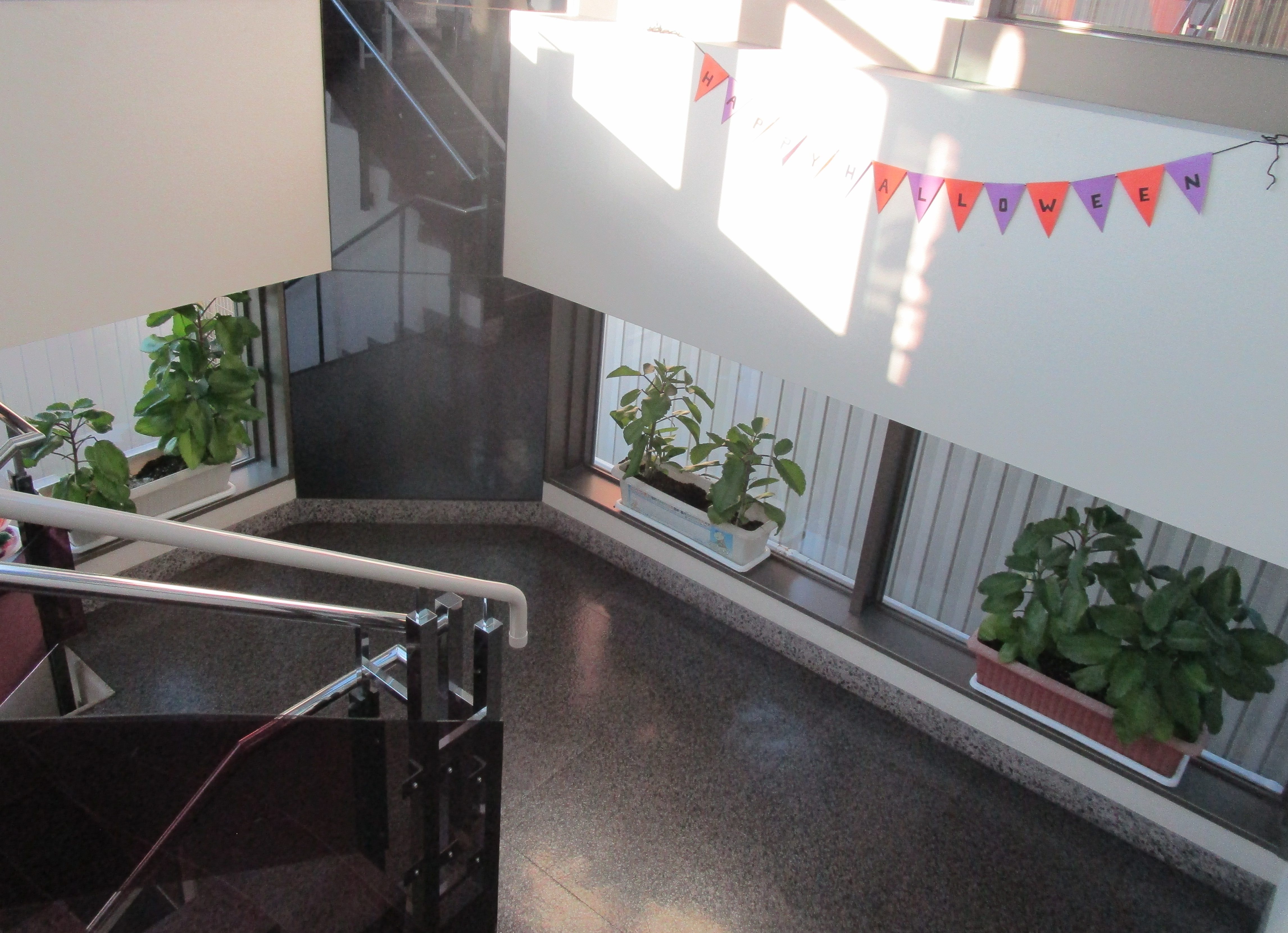 葉っぱ一枚あればいい カラフル 足羽福祉会施設だより